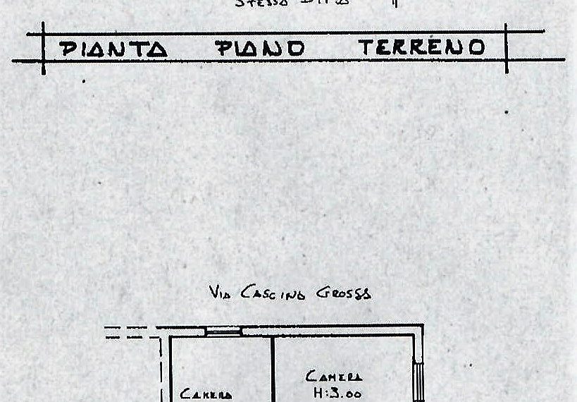 plan web