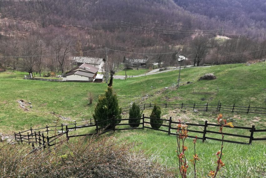 giardino 1